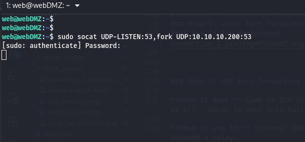 Image: UDP relay running on Web DMZ for DNS forwarding